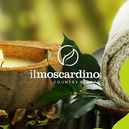 Il Moscardino Country Resort سيرا سان برونو المظهر الخارجي الصورة